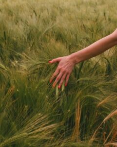 autocuidado emocional y conexión
